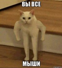 вы все мыши