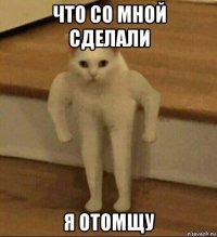 что со мной сделали я отомщу