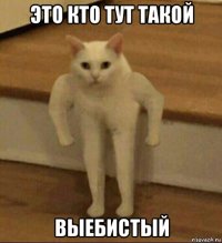 это кто тут такой выебистый