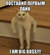 поставил первым лайк i am big boss!!!