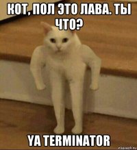 кот, пол это лава. ты что? ya terminator