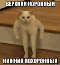 верхний коронный нижний похоронный