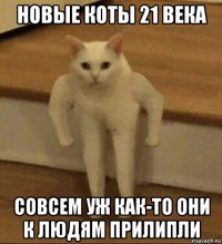 новые коты 21 века совсем уж как-то они к людям прилипли