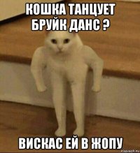 кошка танцует бруйк данс ? вискас ей в жопу