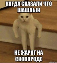 когда сказали что шашлык не жарят на сковороде