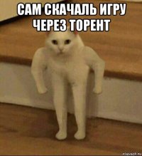 сам скачаль игру через торент 