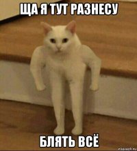 ща я тут разнесу блять всё