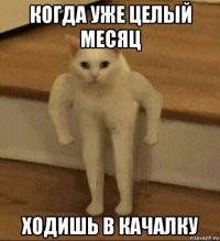 когда уже целый месяц ходишь в качалку