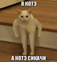 я котэ а котэ сикачи