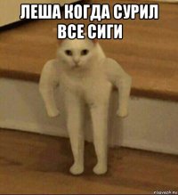 леша когда сурил все сиги 