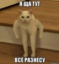 я ща тут всё разнесу