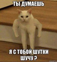 ты думаешь я с тобой шутки шучу ?