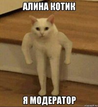 алина котик я модератор