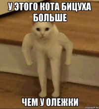 у этого кота бицуха больше чем у олежки