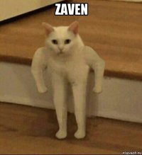 zaven 