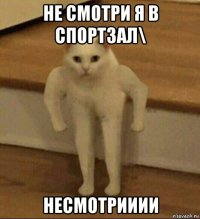 не смотри я в спортзал\ несмотрииии