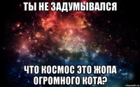 ты не задумывался что космос это жопа огромного кота?