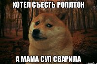 хотел съесть роллтон а мама суп сварила