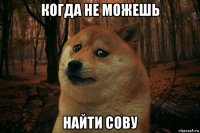 когда не можешь найти сову