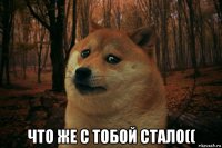  что же с тобой стало((