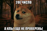 20е число а клы еще не проверены