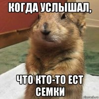 когда услышал, что кто-то ест семки