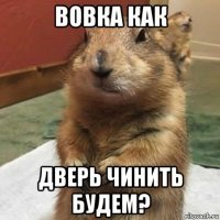 вовка как дверь чинить будем?