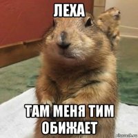 леха там меня тим обижает