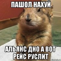 пашол нахуй альянс дно а вот рейс руслит