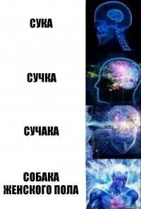 сука сучка сучака собака женского пола