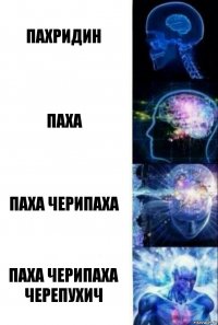 Пахридин Паха Паха черипаха Паха черипаха черепухич