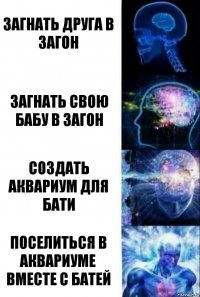 Загнать друга в загон Загнать свою бабу в загон Создать аквариум для бати Поселиться в аквариуме вместе с батей