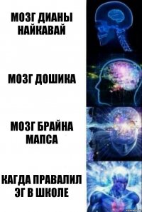 Мозг Дианы найкавай Мозг дошика Мозг Брайна мапса Кагда правалил эг в школе