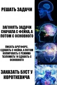 Решать задачи Загонять задачи сначала с фейка, а потом с основного Писать брутфорс, сдавать с фейка, а потом копировать с режима 'взломать' и сдавать с основного Заказать буст у Короткевича