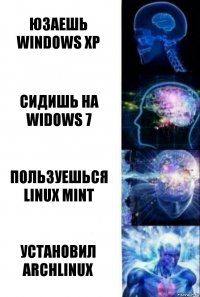 Юзаешь Windows XP Сидишь на Widows 7 Пользуешься Linux Mint Установил Archlinux