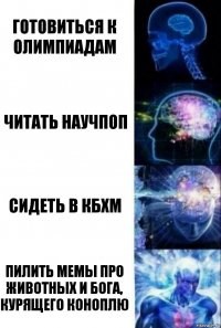 Готовиться к олимпиадам Читать научпоп Сидеть в КБХМ Пилить мемы про животных и бога, курящего коноплю