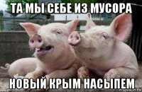 та мы себе из мусора новый крым насыпем