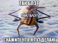 так блэт скажите что я тут делаю