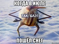 когда в июле пошёл снег