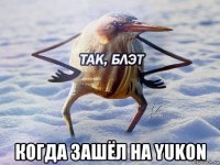  когда зашёл на yukon