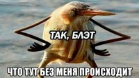  что тут без меня происходит