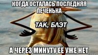 когда осталась последняя печенька а через минуту её уже нет