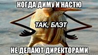 когда диму и настю не делают директорами