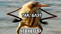  что хотел?