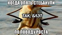 когда опять стебанули по поводу роста