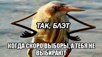  когда скоро выборы, а тебя не выбирают