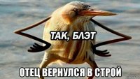  отец вернулся в строй