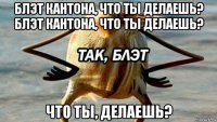 блэт кантона, что ты делаешь? блэт кантона, что ты делаешь? что ты, делаешь?