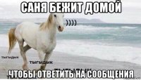 саня бежит домой чтобы ответить на сообщения