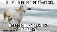 отвлекитесь от всеей фигни, и просто посмотрите на лошадку